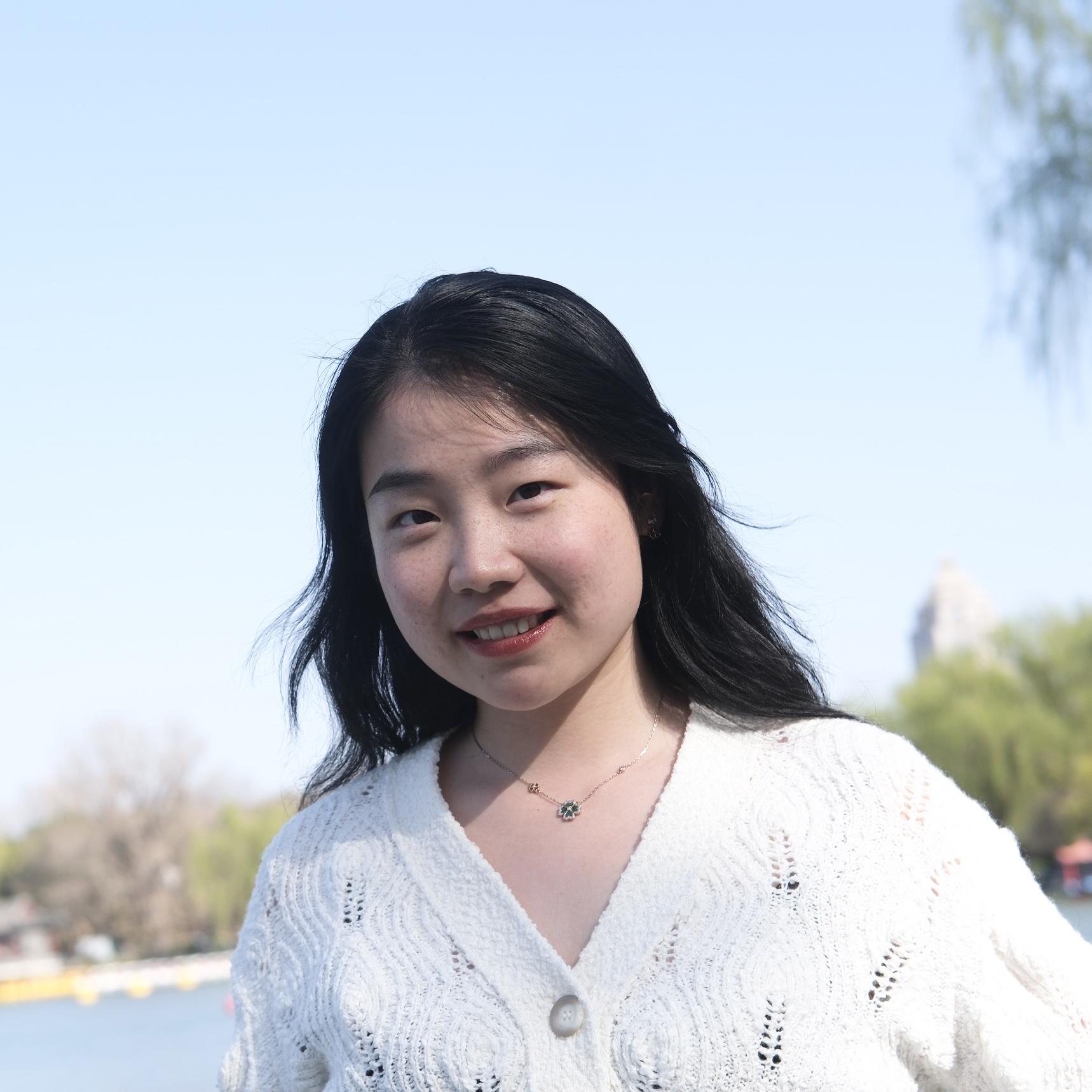 Yiwei Hou 侯伊为
